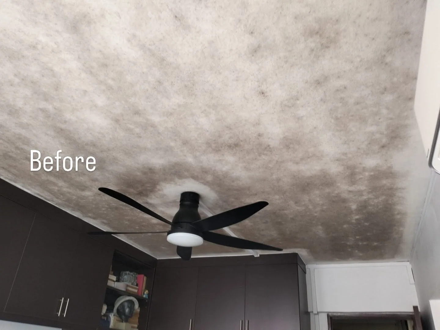 Mould growth on a wall that needs assessment before repainting