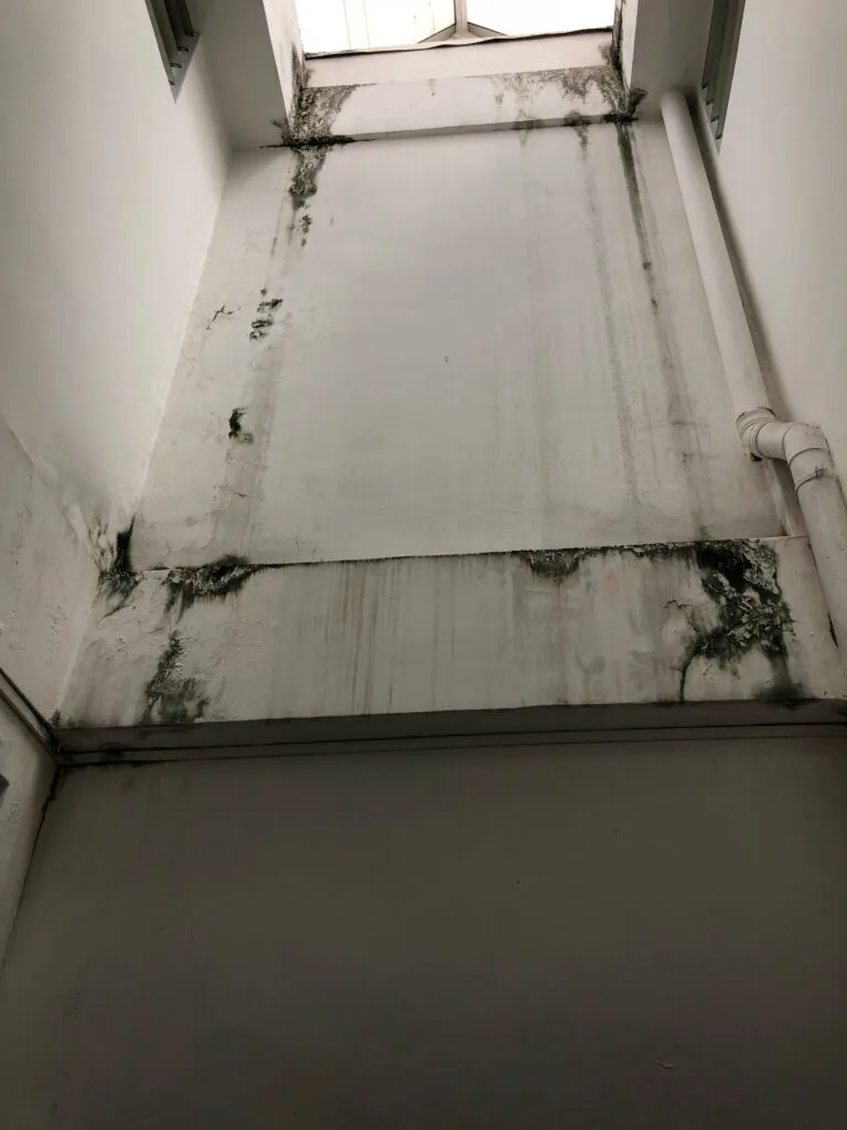 Before: Exterior air well