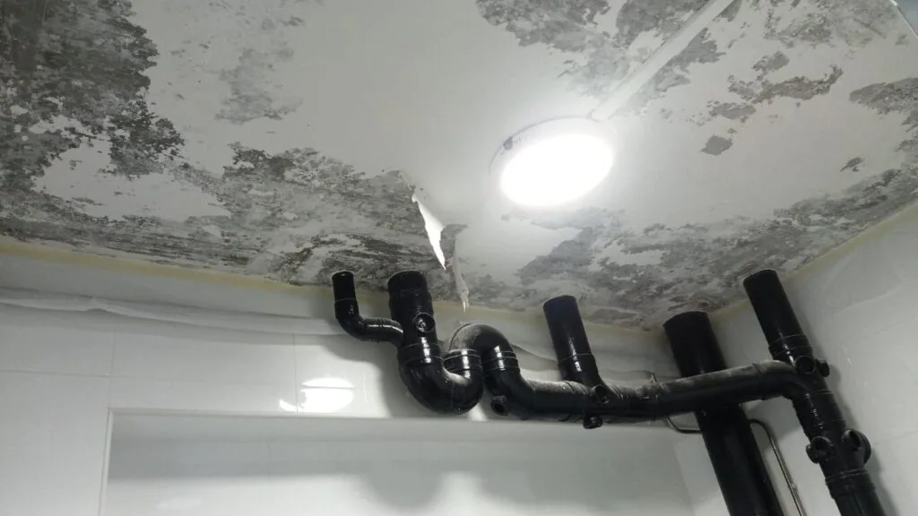 Before: Toilet peeling